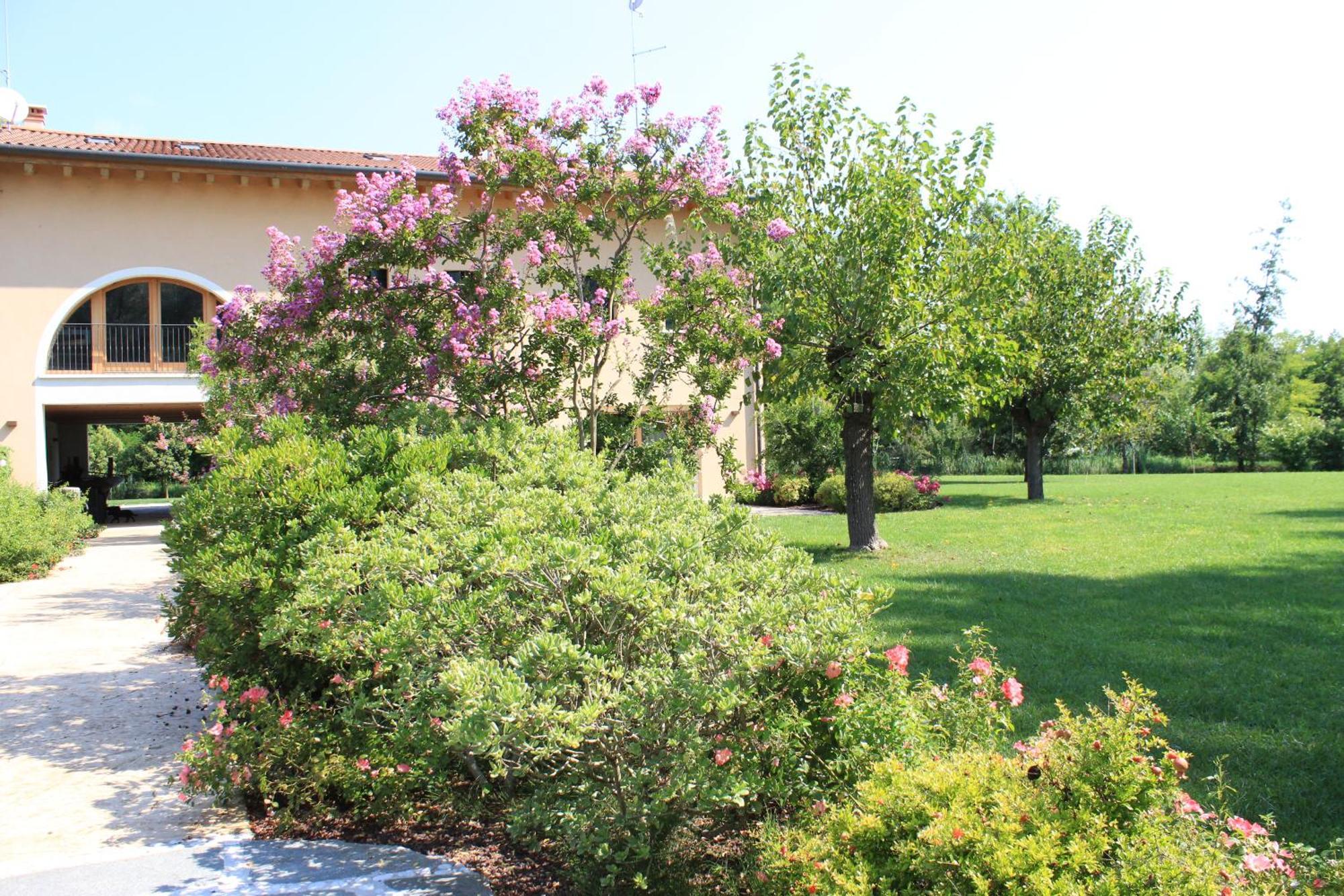 Ca' Del Sile Bed and Breakfast Morgano Rum bild
