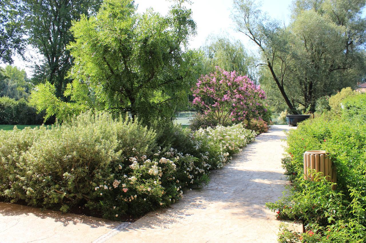 Ca' Del Sile Bed and Breakfast Morgano Exteriör bild